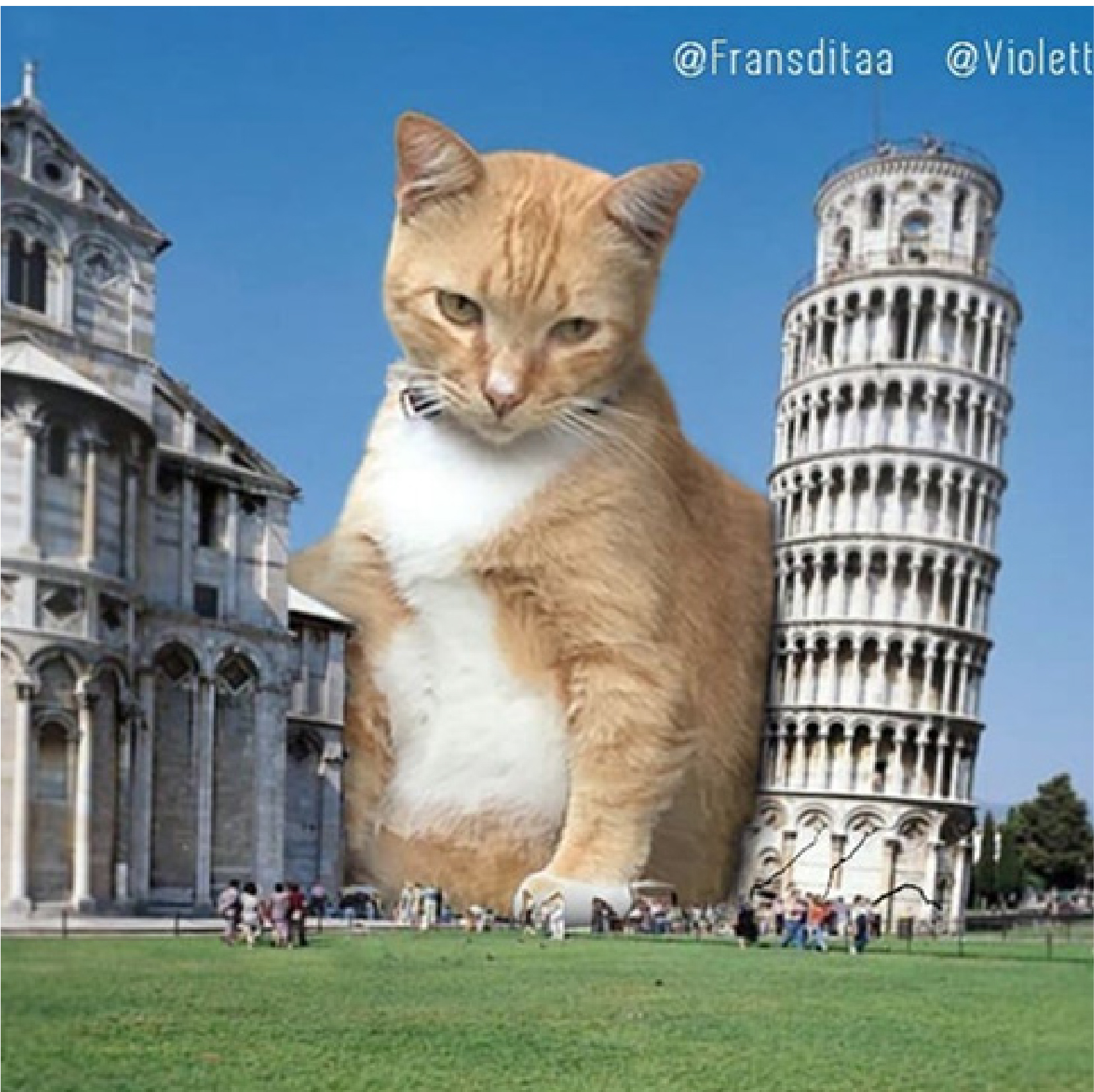 Cat by tower