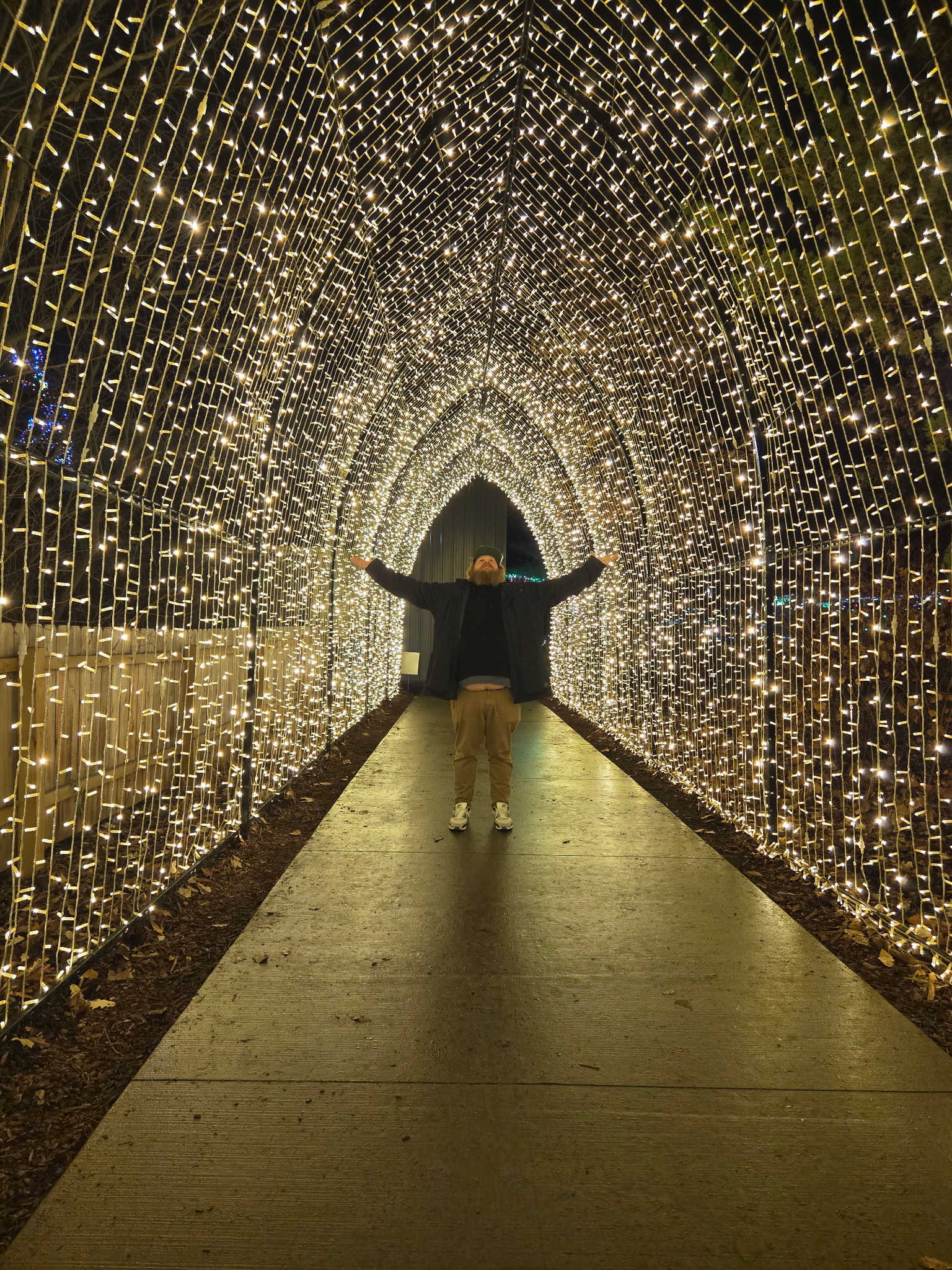 zoolights